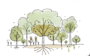 Icoon biodiversiteit