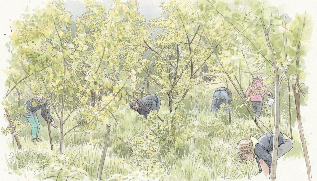 Mensen aan het werk in het groen